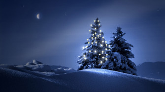 Clearly Christmas Tree At Night Wallpaper HD