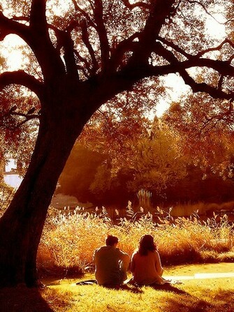 Isabella S Fall In Love