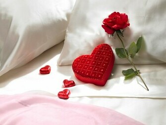 Flower Rose Romantic Love Wallpaper Wallpaperlepi