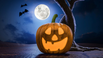 Things To Do This Weekend Midsummer Scream Nbc Los Angeles
