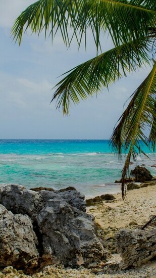 Exotic Wallpaper Beach Jpg Widescreen Ultra Google Nexus
