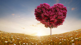 Love Wallpaper That Your Desktop Will Make You Feel Amazing