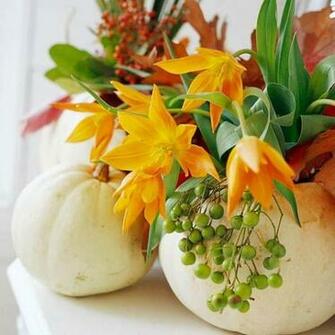 Desktop Wallpaper Better Homes Gardens Babes HD