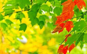 August 31st And September 1st Summer To Fall Is There For You