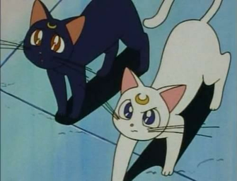 Luna And Artemis Sailor Moon Picture