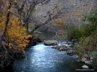 Fly Fishing Newbie Flyfishingnewbie Wallpaper