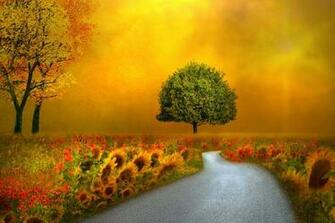 Flowers Landscape Autumn Pathways Background Image Seasons