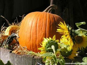 Pumpkins 478729847yjrjgj Fs Jpg