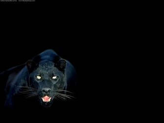 Pink Panther Wallpaper HD Desktop Background Blu
