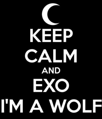 Exo Logo Wallpaper Widescreen
