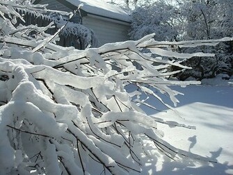 Of Snow But It Is Too Pretty Outside To Feel That Way Warm