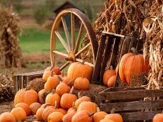 Keywords Pumpkin Wallpaper Desktop