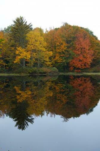 Sticky River Standish Me Photo Courtesy Of Deanna Pelletier
