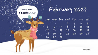 February Calendar Wallpaper HD Net