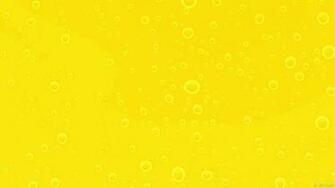 Yellow Barbaras HD Wallpaper