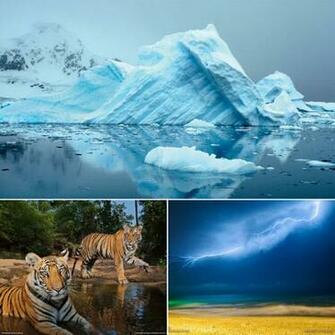 National Geographic Desktop Wallpaper To Relieve Work Stress