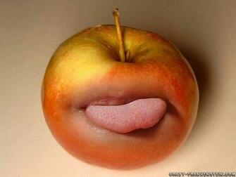 Funny Wallpaper For Cell Phones Image Fun