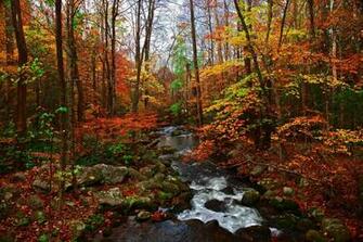 America The Beautiful In Autumn Peak Fall Foliage Dates For States