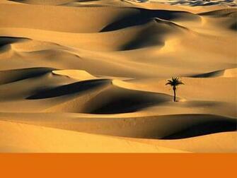 Desert Scene Wallpaper