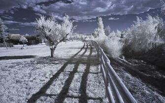 Best Infrared Wallpaper