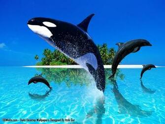 3d Nature And Wildlife Wallpaper Photo Of