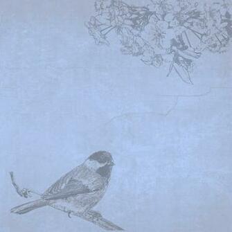 Birds And Blooms Wallpaper Amazing