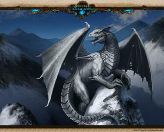 White Dragon Cool HD Wallpaper Hivewallpaper