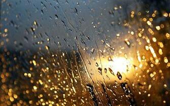 Rain Background Wallpaper Win10 Themes