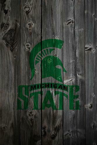 Michigan State Spartans Wood iPhone Background A Photo On
