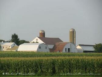 Farm And Corn Field Country Charm