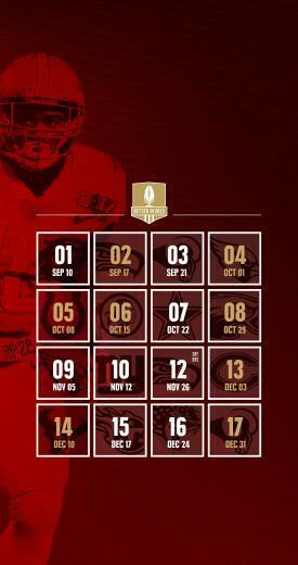 49ers Desktop Wallpaper Image