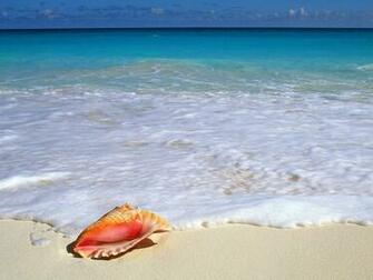 Summer Season Wallpaper For Desktop Background Dekstop