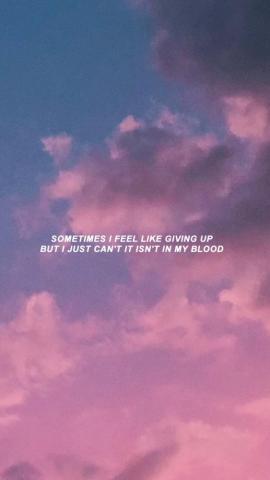 Shawn Mendes Lyrics Wallpaper Image Collections Of