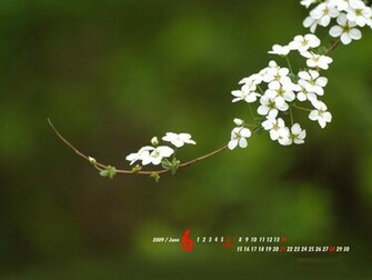 Crosscards Wallpaper Monthly Calendars Calendar Template
