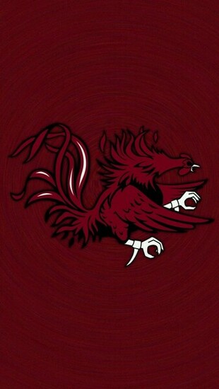 Usc Wallpaper Cockytalk