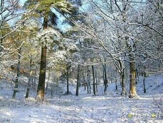 Winter Wonderland Screensaver