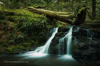 Jungle Waterfall Waterfalls