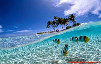 Beautiful Underwater Sea Scenery Bunaken Visit Indonesia Wallpaper