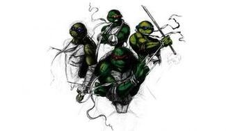 Tmnt HD Wallpaper Sfondi Pagina