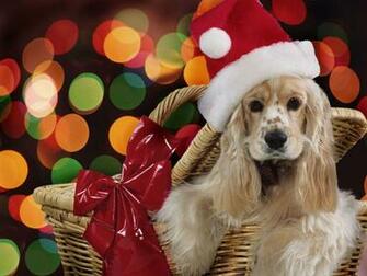 Christmas Wallpaper Pictures Gifts