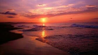 Sunrise Beach Wallpaper Wallpoper