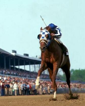 Secretariat The Track Philosopher