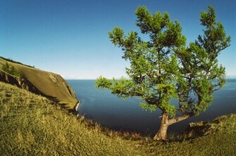 Nature Syberia Wallpaper