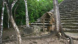 Ruines Maya Coba Wallpaper
