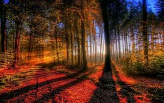 Season Wallpaper HD Autumn