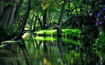 Spring River Wallpaper