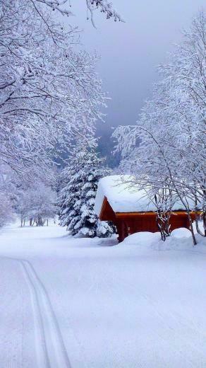 Snow Road House 4k Ultra HD Wallpaper Net