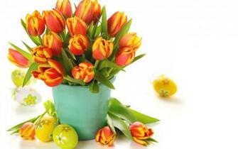 Flower In Pot Wallpaper