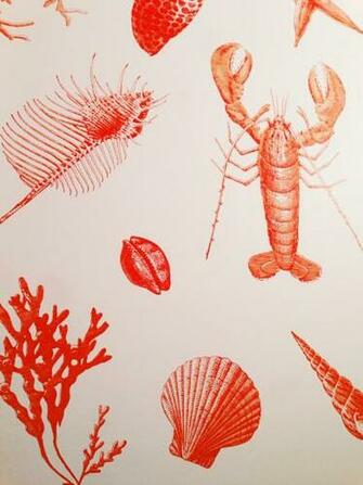 Lobster Wallpaper On Nantucket Art Bathroom