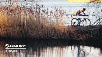 Giant Road Bike Wallpaper Bicycles